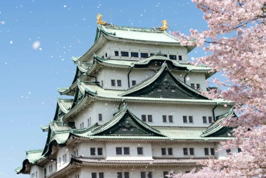 名古屋包棟民宿推薦 名古屋包棟民宿推薦