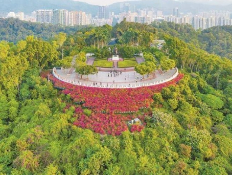 深圳蓮花山公園深業上城攻略：空中小鎮拍照、交通路線與一日遊規劃