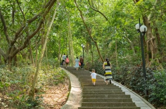 深圳拍照打卡