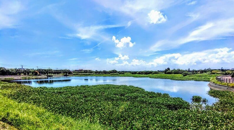草漯沙丘