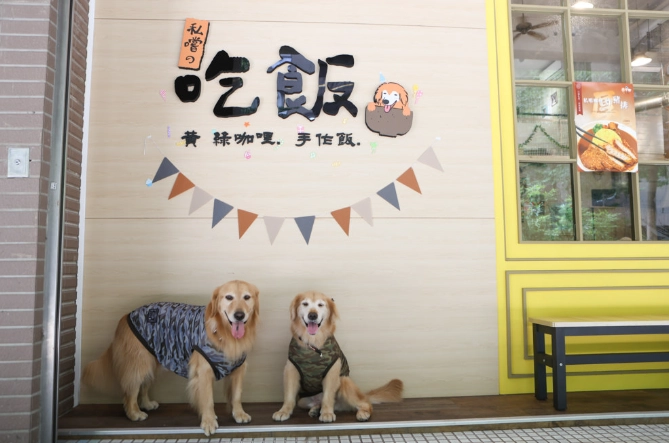 阿里山寵物友善餐廳推薦：帶毛孩上山享受美食的完整指南