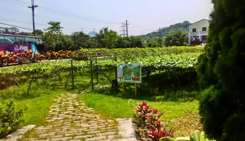 桃園親子農場 桃園親子農場