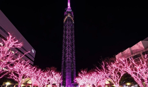 福岡塔介紹：門票、交通、夜景全攻略