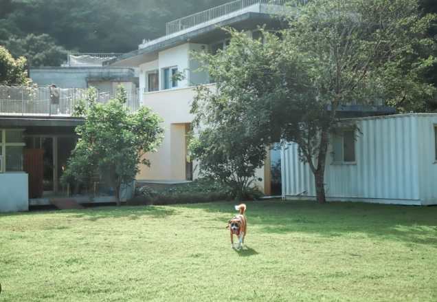 帶狗玩水宜蘭