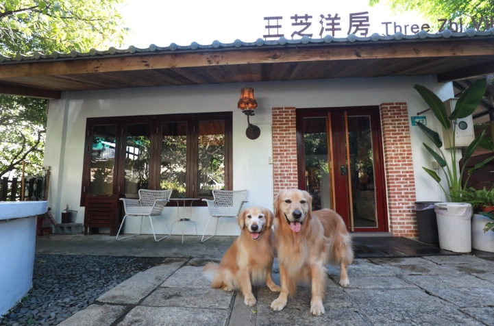 阿里山寵物友善住宿 阿里山寵物友善住宿