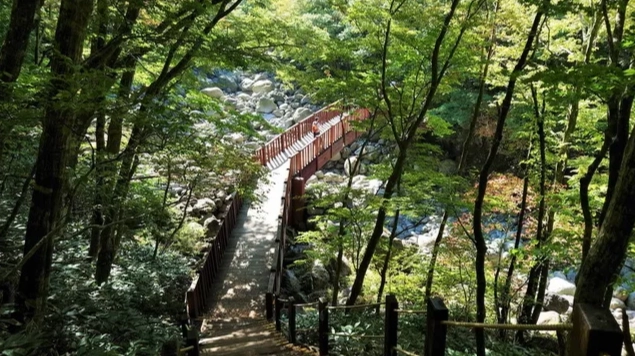 城板岳路線 城板岳路線