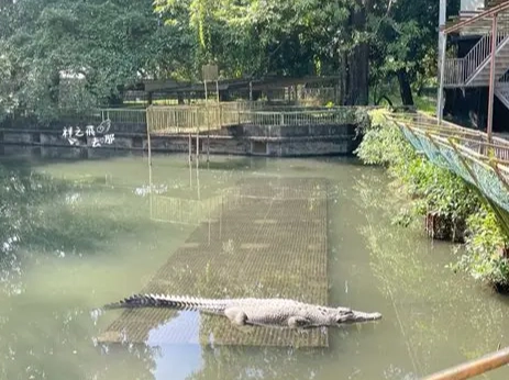 親子餐廳 親子餐廳