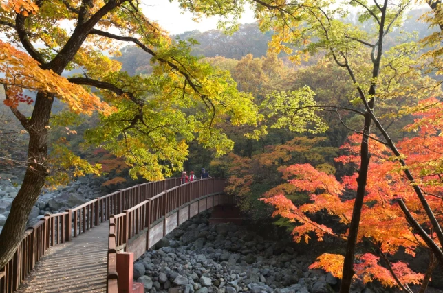 濟州島漢拏山天氣 濟州島漢拏山天氣