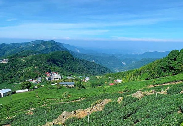 奮起湖寵物友善 奮起湖寵物友善