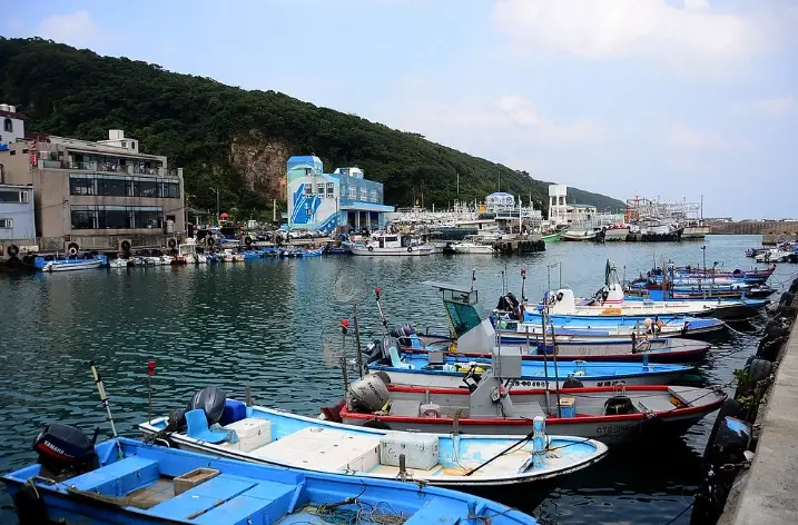 龜吼漁港 消費 龜吼漁港 消費