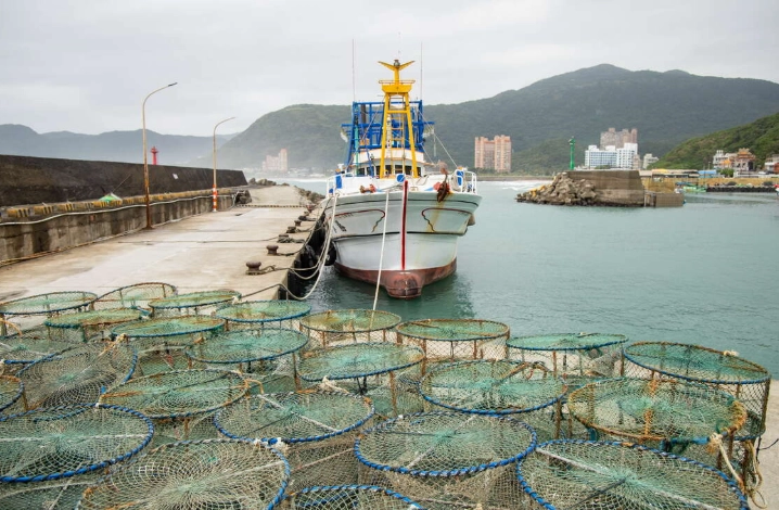龜吼漁港 消費 龜吼漁港 消費