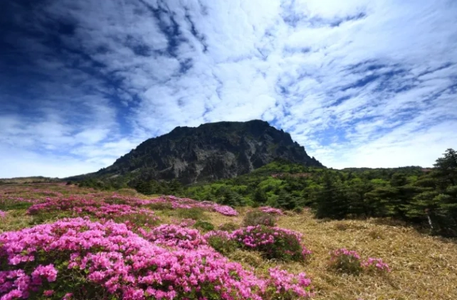 濟州島漢拏山天氣 濟州島漢拏山天氣
