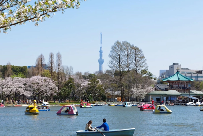上野公園市集全攻略：必逛攤位、交通路線與隱藏美食