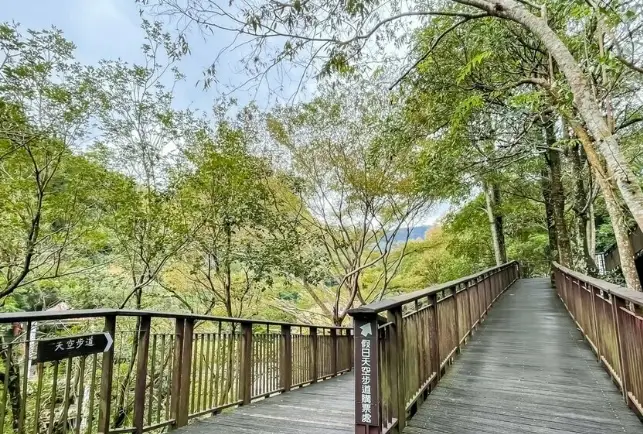桃園室內景點 桃園室內景點