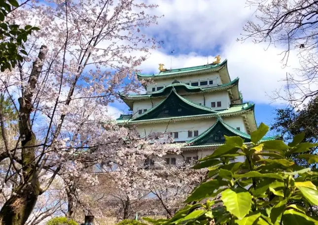 名古屋深度旅遊 名古屋深度旅遊
