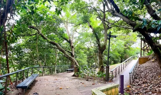 桃園好走步道推薦：5條輕鬆路線，地址交通全攻略