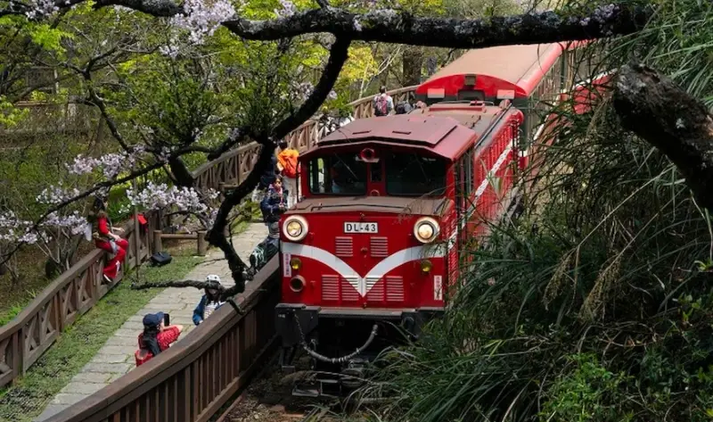 觀光列車行程 觀光列車行程