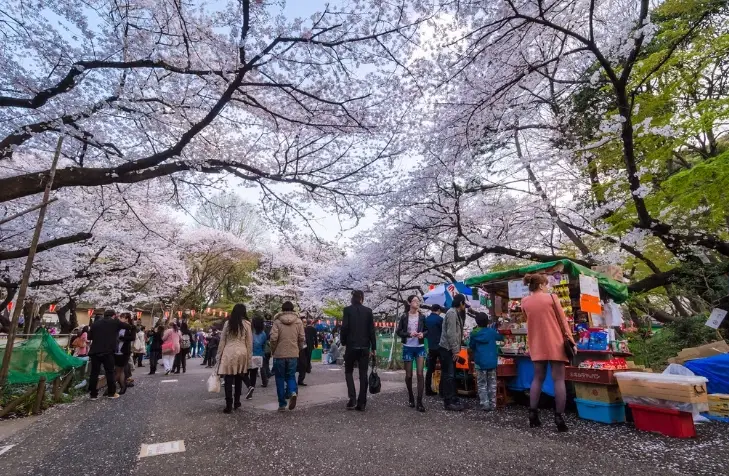 東京市集推薦 東京市集推薦