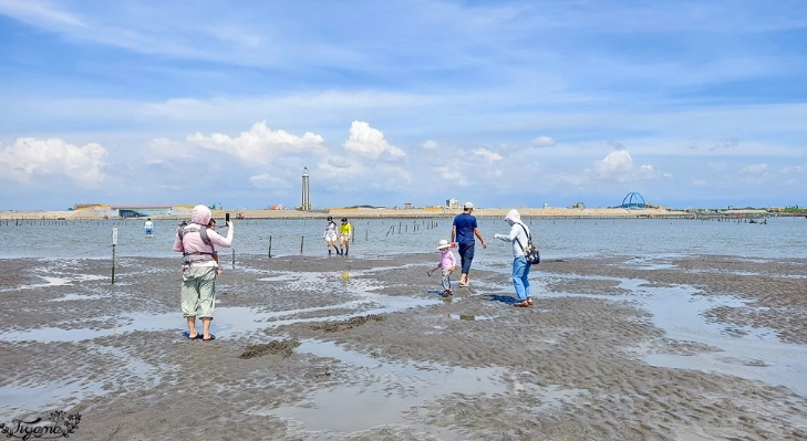 探索王功潮間帶：完整生態旅遊指南與實用攻略