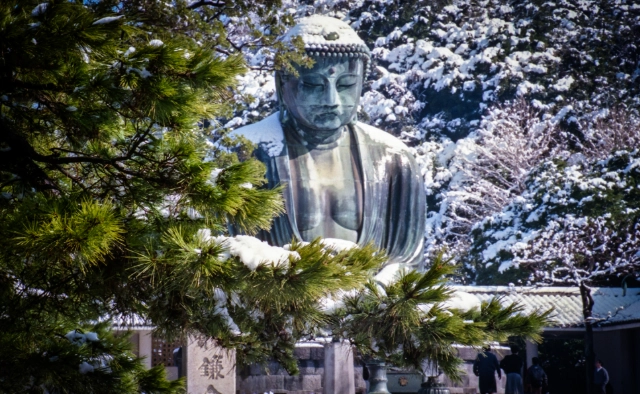 鎌倉大佛交通 鎌倉大佛交通