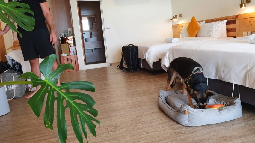 墾丁寵物友善室內景點 墾丁寵物友善室內景點