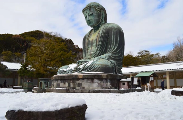 鎌倉大佛冬季旅遊 鎌倉大佛冬季旅遊