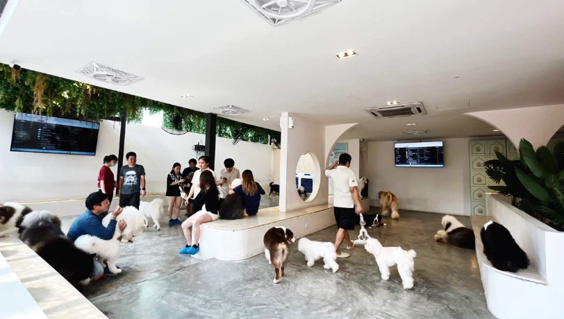 墾丁帶狗室內 墾丁帶狗室內