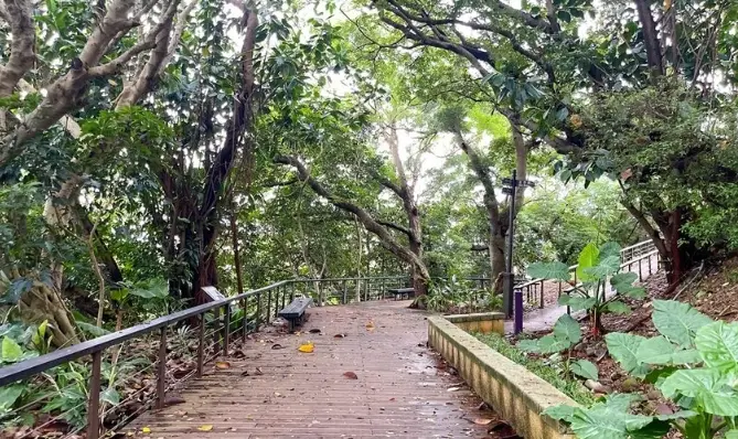 桃園步道