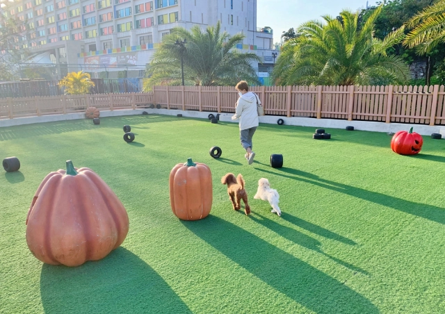 狗狗室內遊樂園 狗狗室內遊樂園