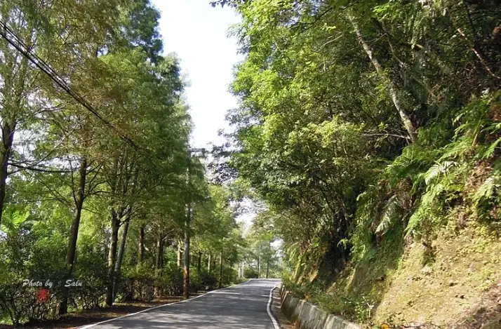 知本林道路況全攻略：即時查詢、避塞車技巧與安全駕駛指南