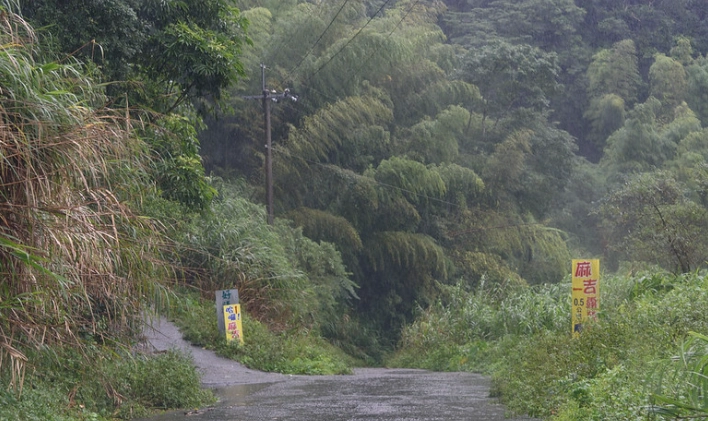 台東知本駕駛 台東知本駕駛