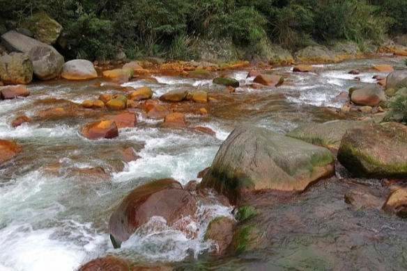 陽明山溫泉 陽明山溫泉