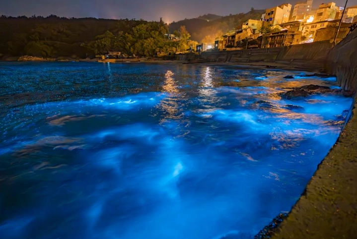 馬祖藍眼淚是什麼？完整解析成因、觀賞地點與實用攻略