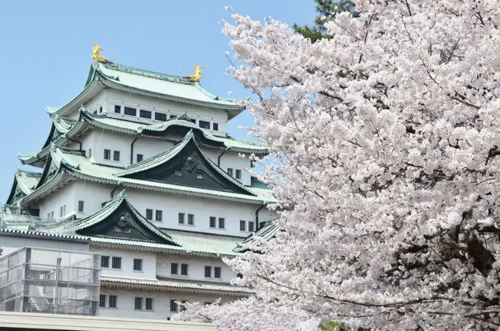 名古屋深度旅游 名古屋深度旅游