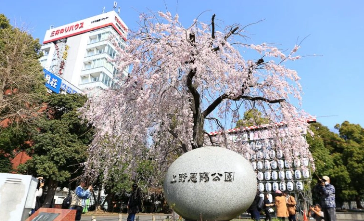 上野阿美橫町 上野阿美橫町