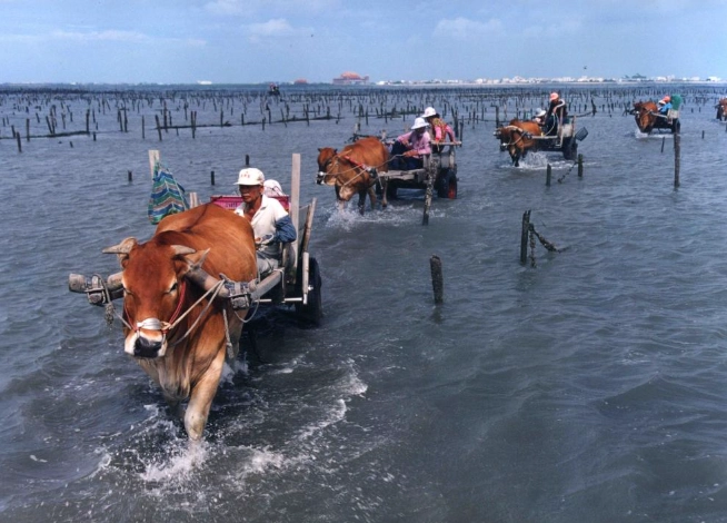 海牛體驗 海牛體驗