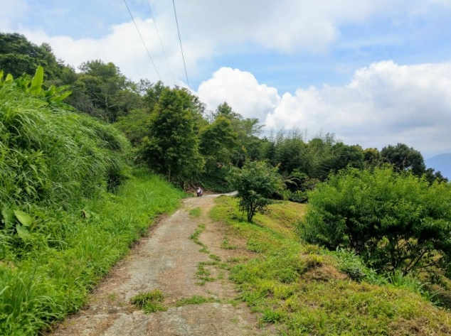 初音山榕樹社區 景點 初音山榕樹社區 景點