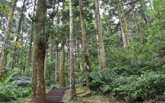 Google Maps高評分景點 Google Maps高評分景點