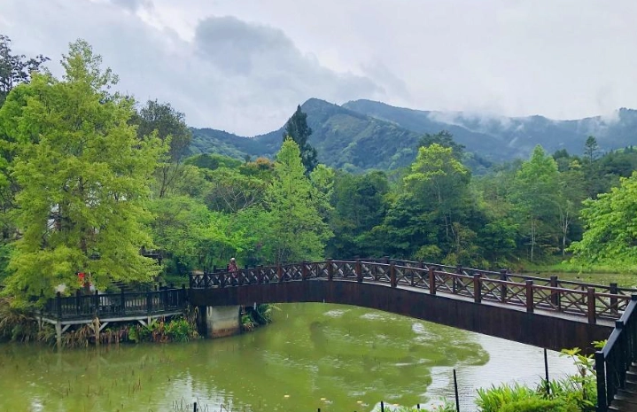 苗栗巧克力雲莊 苗栗巧克力雲莊
