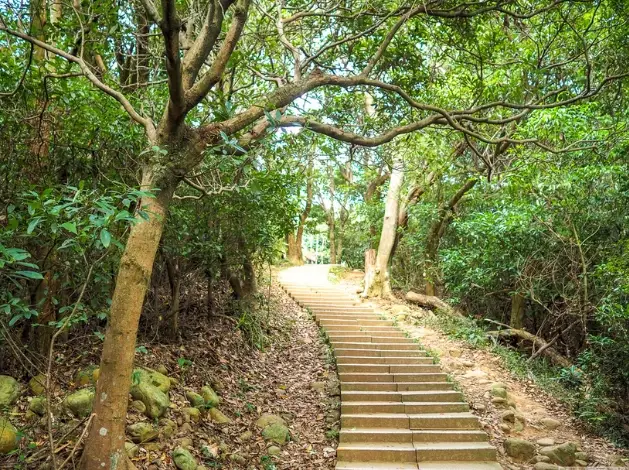 桃竹苗必去景點 桃竹苗必去景點