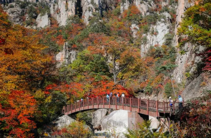 雪嶽山自由行 雪嶽山自由行