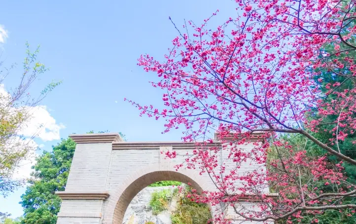 花博公園圓山園區美食全攻略：在地人私藏餐廳與小吃地圖