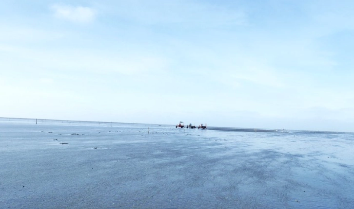 芳苑王功旅遊 芳苑王功旅遊