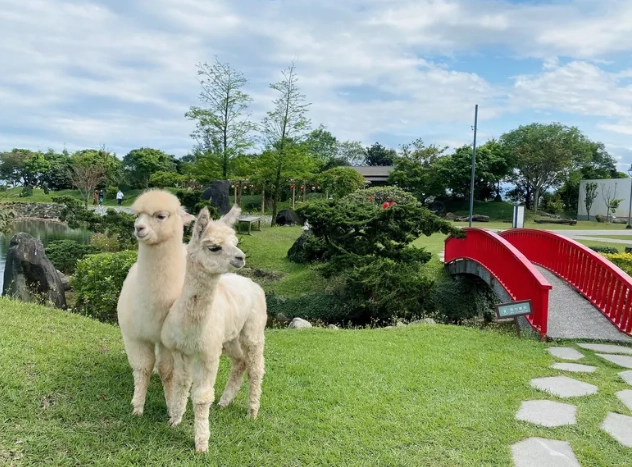 宜蘭動物農場