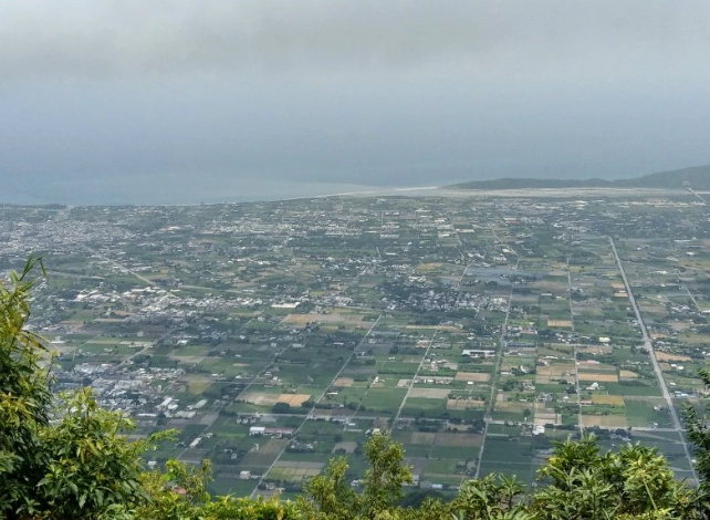 初音山榕樹社區 景點 初音山榕樹社區 景點