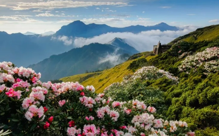 花蓮室內景點 花蓮室內景點