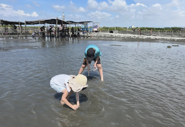 王功採蚵一日遊攻略：行程規劃、美食推薦與在地體驗