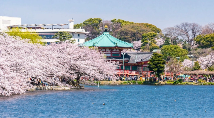 東京上野旅遊攻略 東京上野旅遊攻略