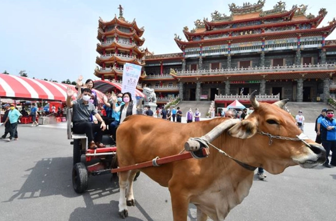 芳苑海牛車隊潮間帶集合點：體驗傳統海牛拉車與生態之旅全攻略