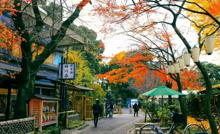 上野公園附近景點全攻略：交通、門票與隱藏玩法一次掌握